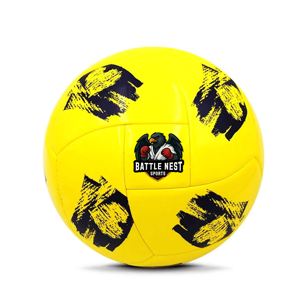 Soccer Balls